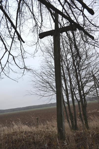 Kryžius Kazimierai Macelytei Jurgeniškių kaimo kapinėse 