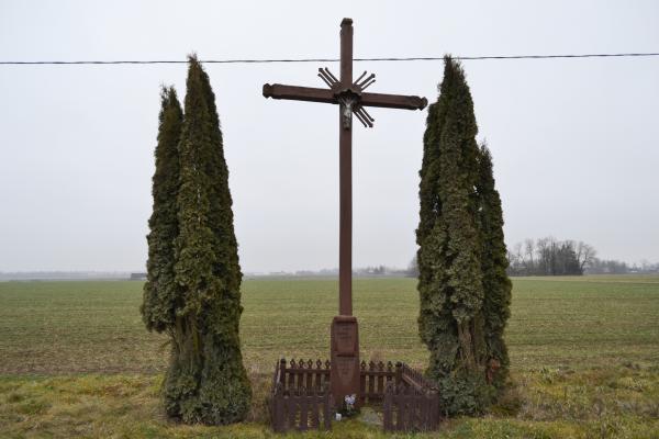Kryžius jaunimui Ruškelių kaime