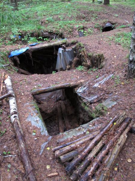 Partizanų bunkeris Žaliojoje girioje, netoli Druciškių kaimo