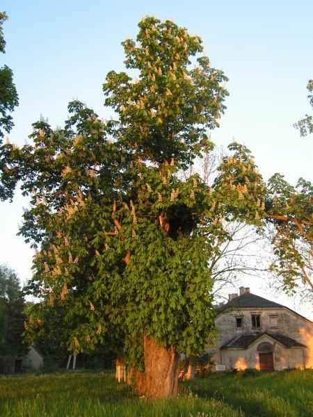 Vytartų dvaras