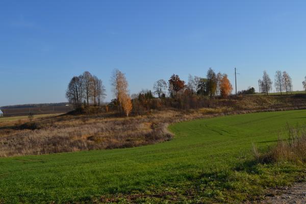 Saudogalos piliakalnis