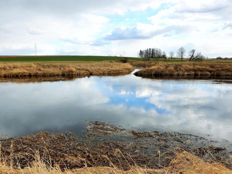 Pamiškių senkapis