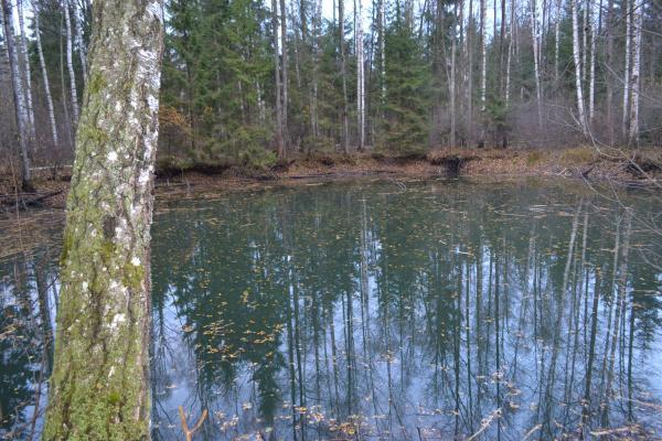 Vatkų smegduobė