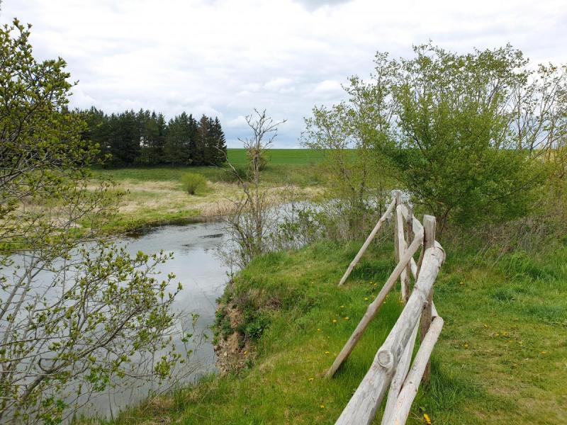Skalių kalnas
