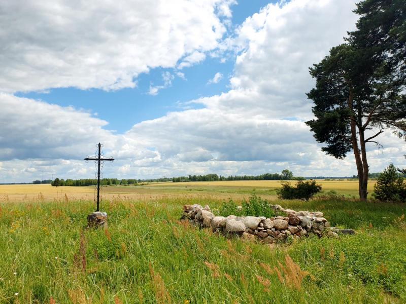Lavėnų (Niurkonių) senkapis