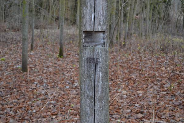 dsc_0709.jpg
