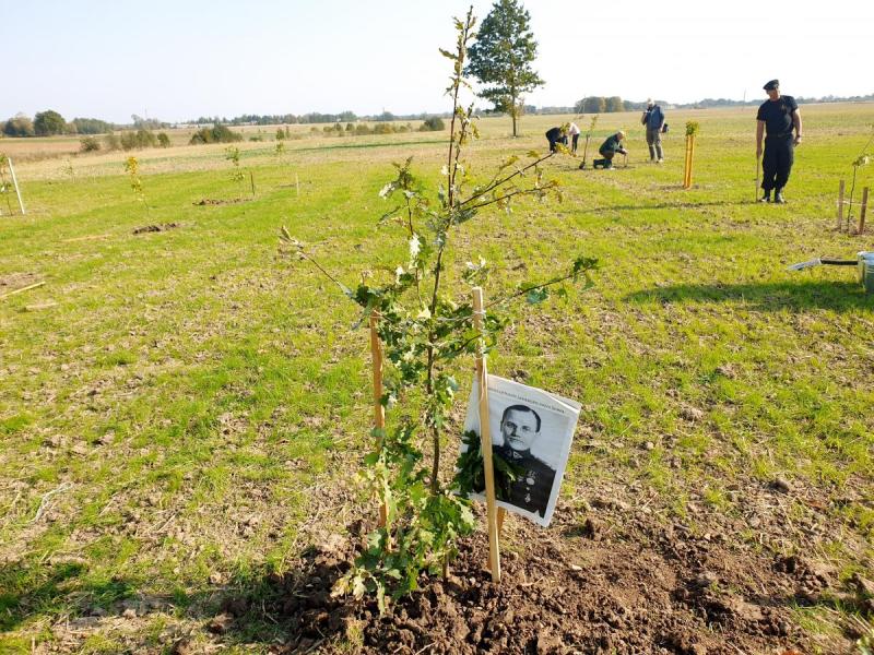 Paminklinis akmuo ir ąžuolynas pirmajam Lietuvos kariuomenės savanoriui Kaziui Škirpai Namajūnų kaime