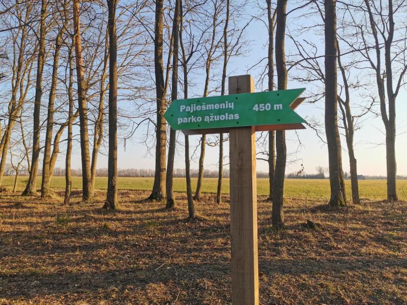 Pajiešmenių parko ąžuolas