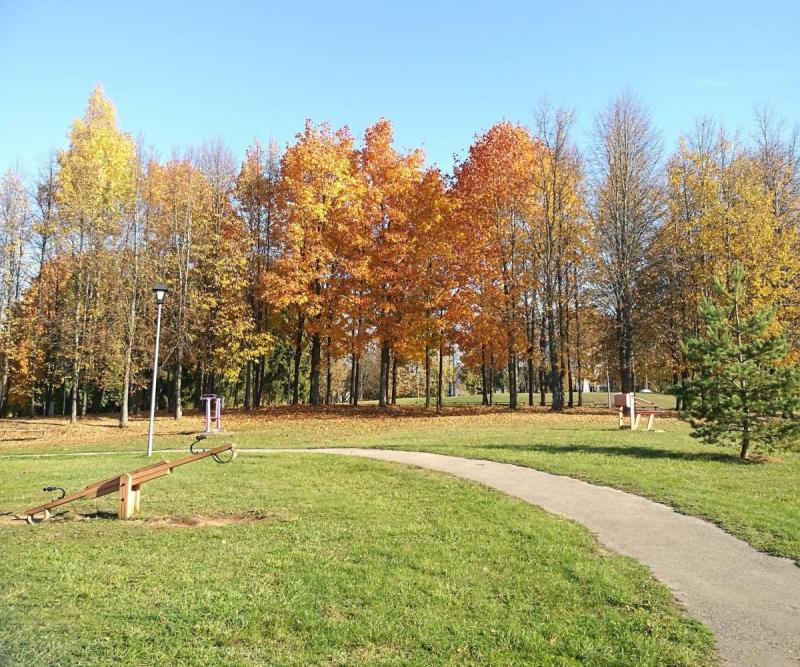 Smegduobių parkas Pasvalyje