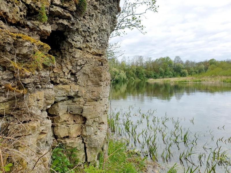 Skalių kalnas