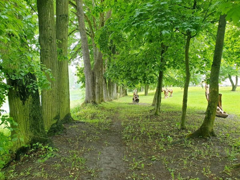 Pasvalio senosios klebonijos (Užupio) parkas