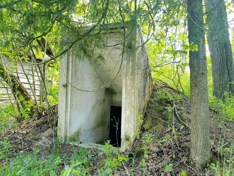 Paminklinis akmuo išnykusiam Pamiškių kaimui Pasvalio apylinkių seniūnijoje, Pasvalio rajone