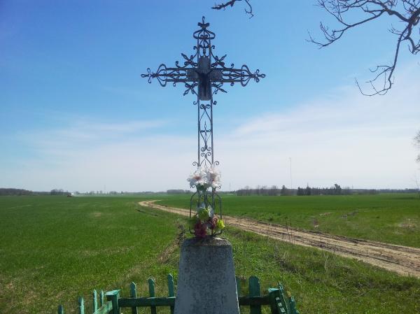 Kryžius prie buvusios Felicijos ir Antano Karpavičių sodybos Rojūnų kaime