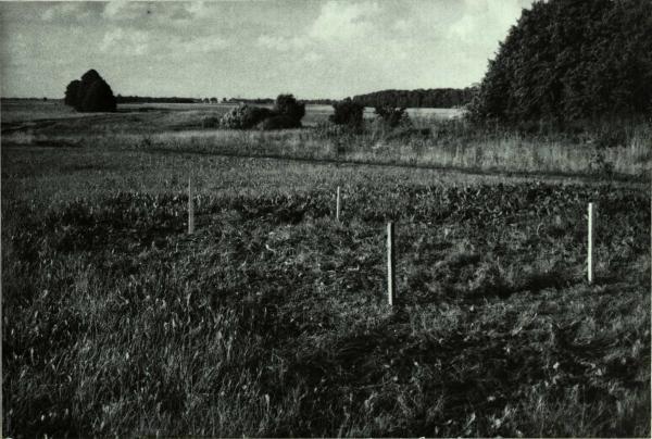 Kalneliškių senovės gamybos vieta
