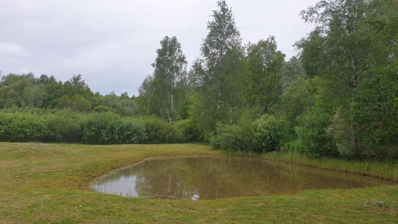 Petraičių akmuo