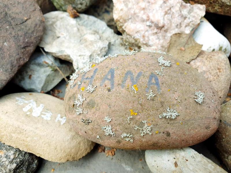 Memorialas holokausto aukoms atminti Žadeikių miške