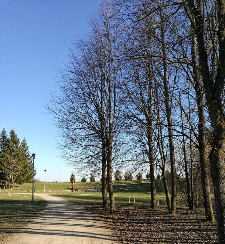 Smegduobių parkas Pasvalyje