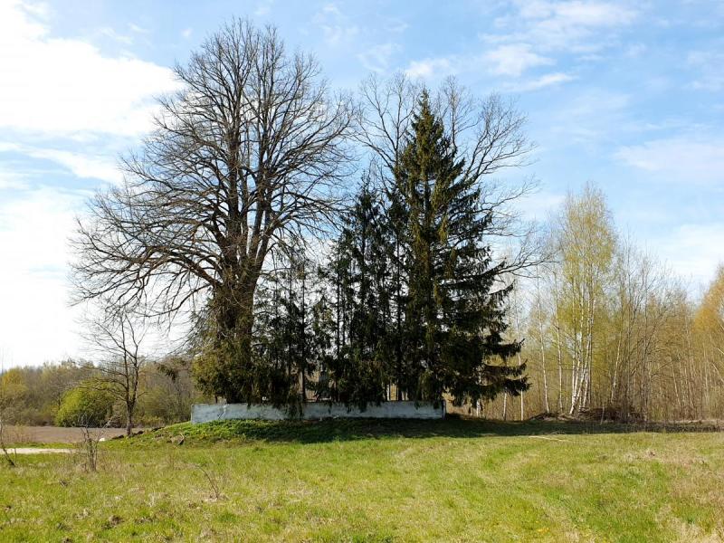 Norelių kapinynas