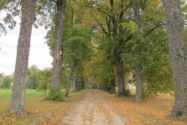 Žadeikių dvaras
