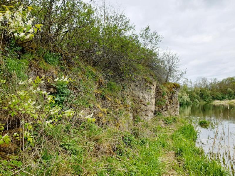 Skalių kalnas