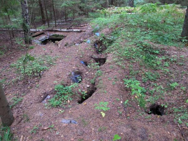 Partizanų bunkeris Žaliojoje girioje, netoli Druciškių kaimo