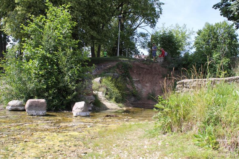 Žalsvasis šaltinis