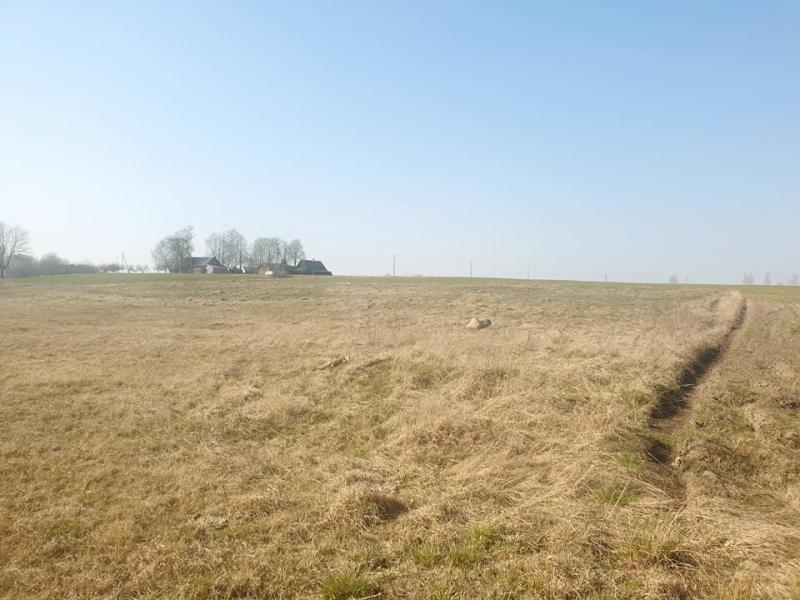 Vaidžiūnų kapinynas