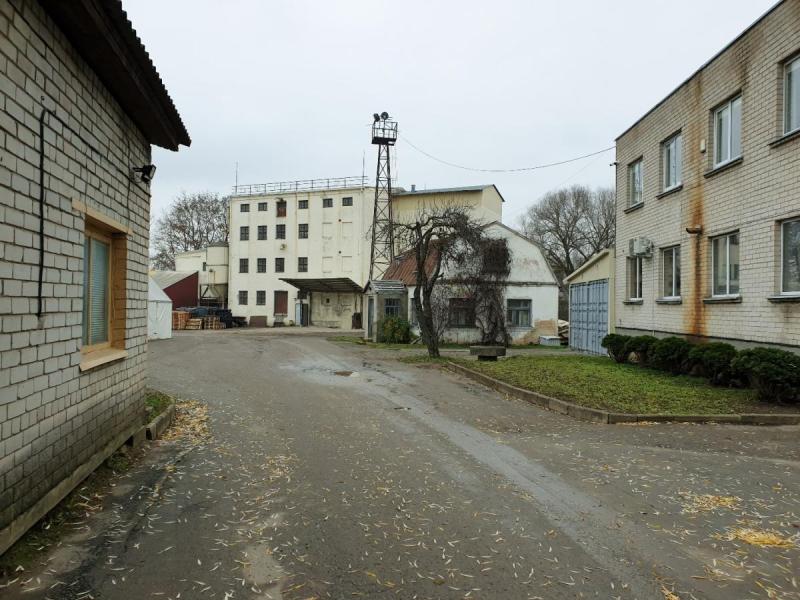 Pasvalio miesto vandens malūnas