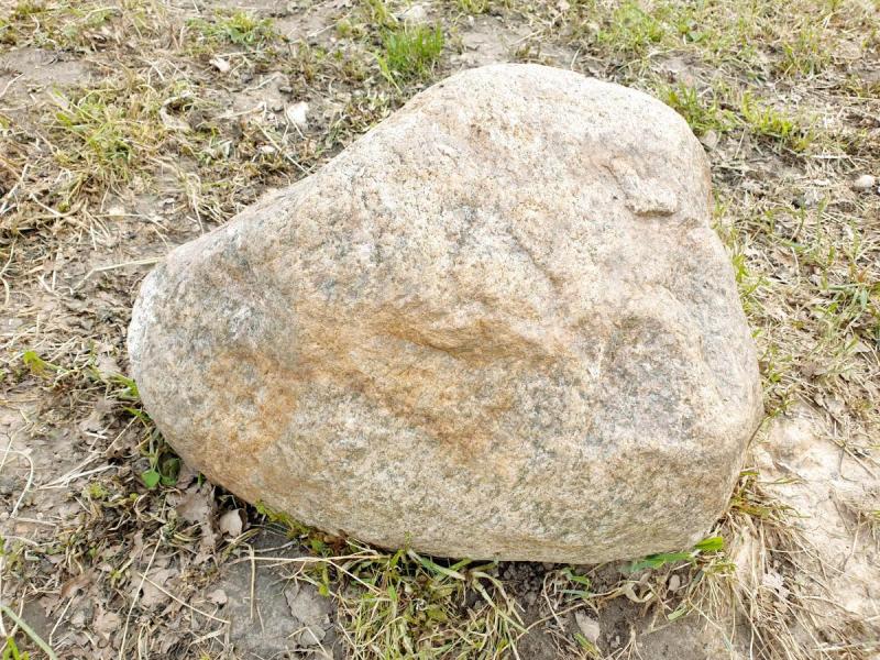 Vyskupo Kazimiero Paltaroko tėviškė Gailionių kaime, Linkuvos parapijoje, Šiaulių rajone