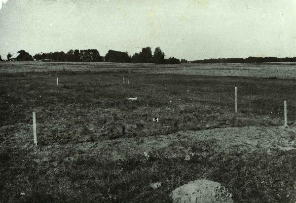 Vaidžiūnų kapinynas
