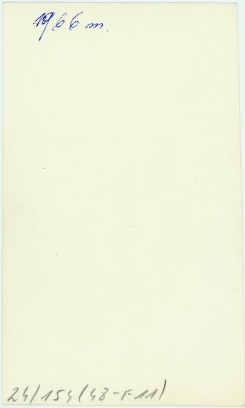 Portretinė. Jonas Mikelinskas. 1966 m.