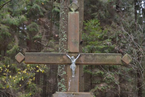 Kryžius partizanų ryšininkei Janinai Morkūnaitei Žaliojoje girioje