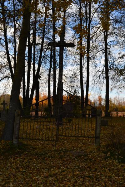 Kryžius inžinieriui Petrui Vileišiui Medinių kaimo kapinaitėse