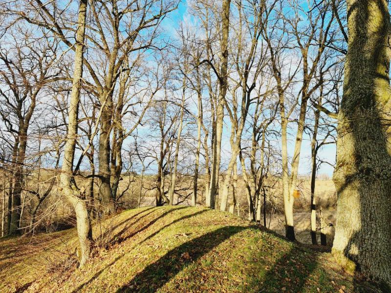 Ąžuolpamūšės piliakalnis
