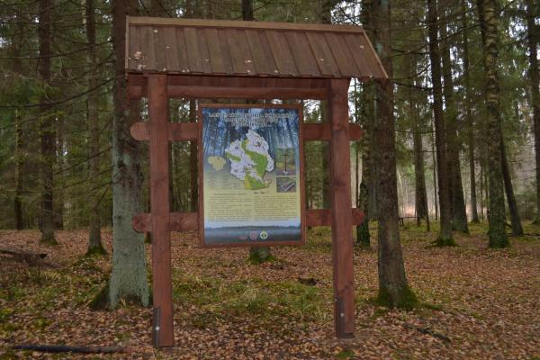 Partizanų bunkeris Žaliojoje girioje, netoli Druciškių kaimo