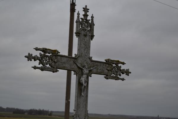 dsc_0594.jpg