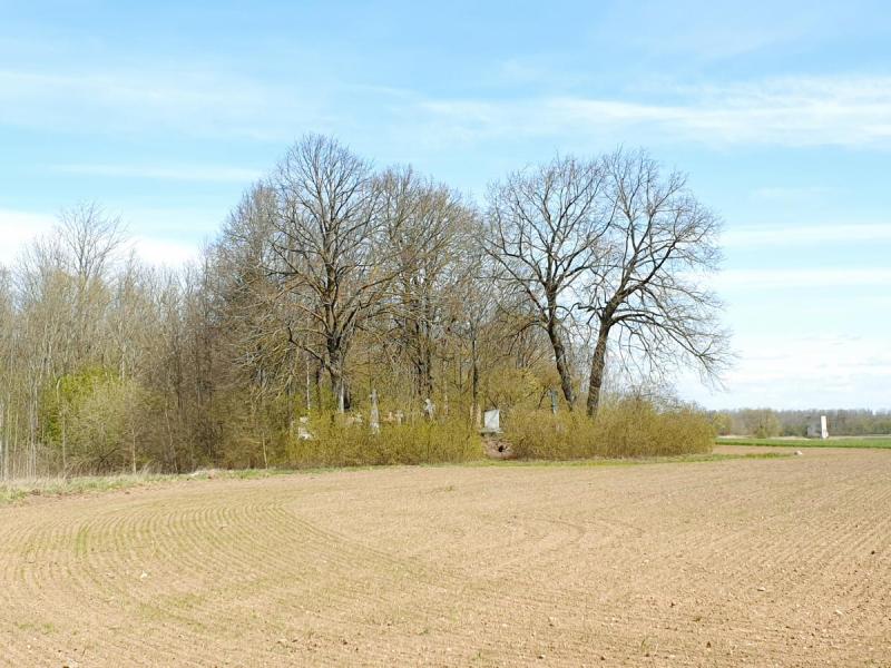 Norelių kapinynas