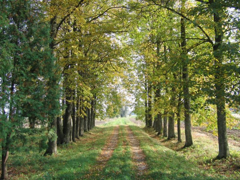 Aktoriaus Petro Venslovo tėviškė Manikūnų kaime, Namišių seniūnijoje