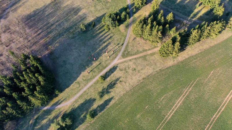 Stogastulpiai Smegduobių parke