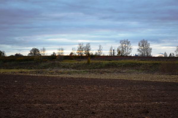 Papyvesių senkapis ir senovės gyvenvietė