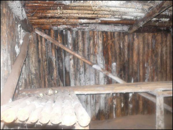 Bunkeris Margiuose, Žaliojoje girioje