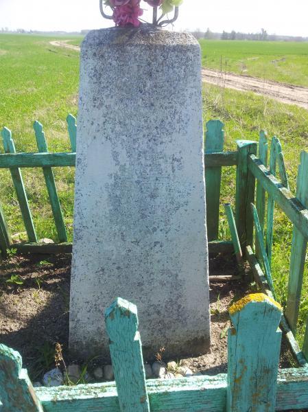 Kryžius prie buvusios Felicijos ir Antano Karpavičių sodybos Rojūnų kaime