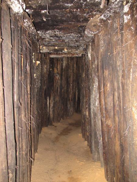 Bunkeris Margiuose, Žaliojoje girioje