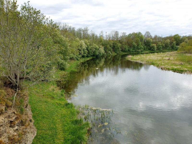Skalių kalnas