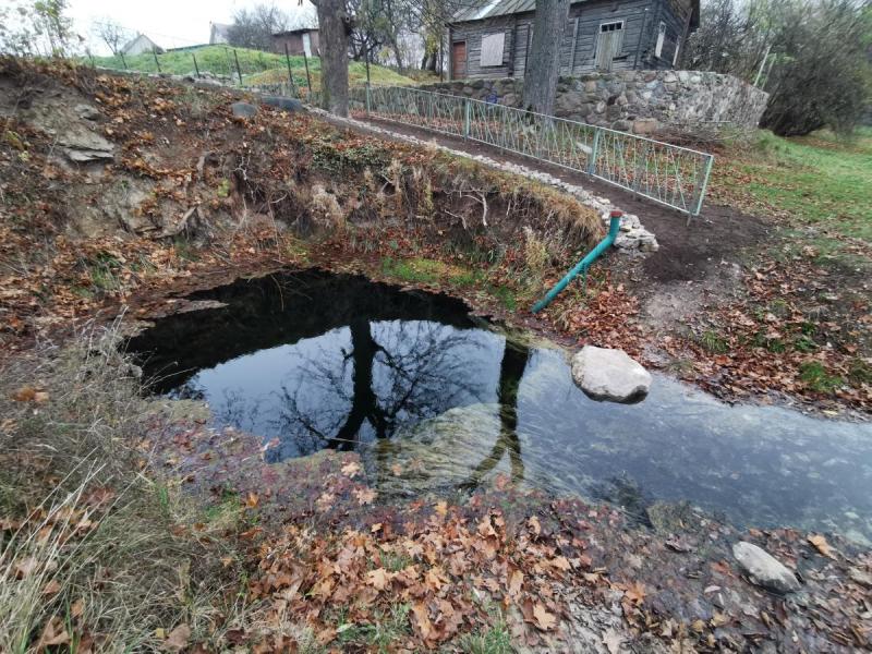 Žalsvasis šaltinis