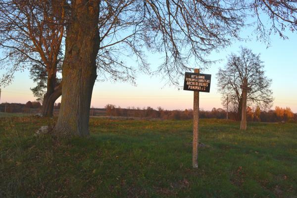 Berklainių pilkapynas ir kapinynas