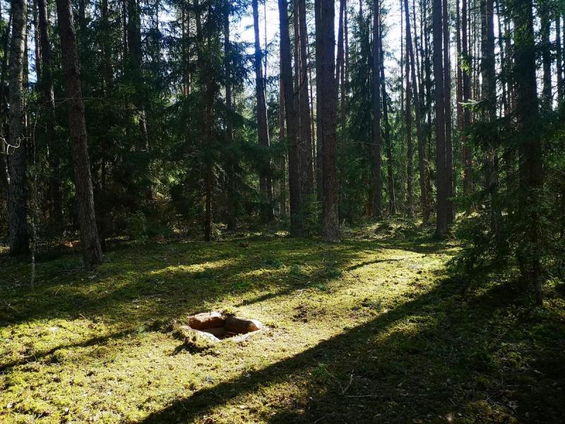 Partizanų bunkeris Žadeikiuose
