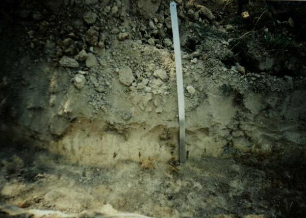 Saudogalos piliakalnis