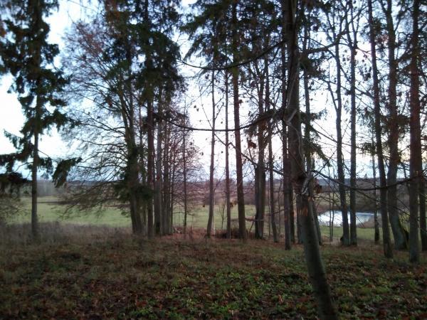 Kalneliškių (Didžiųjų Grūžių) dvaras