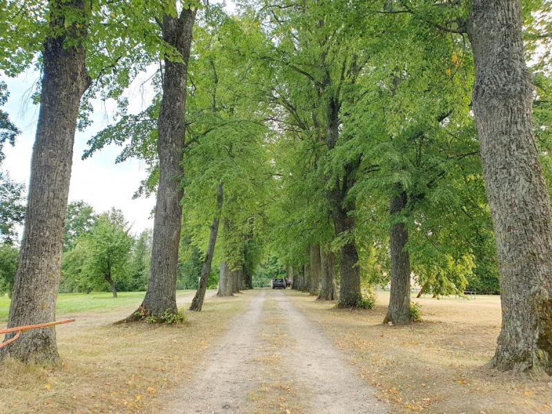 Žadeikių dvaras